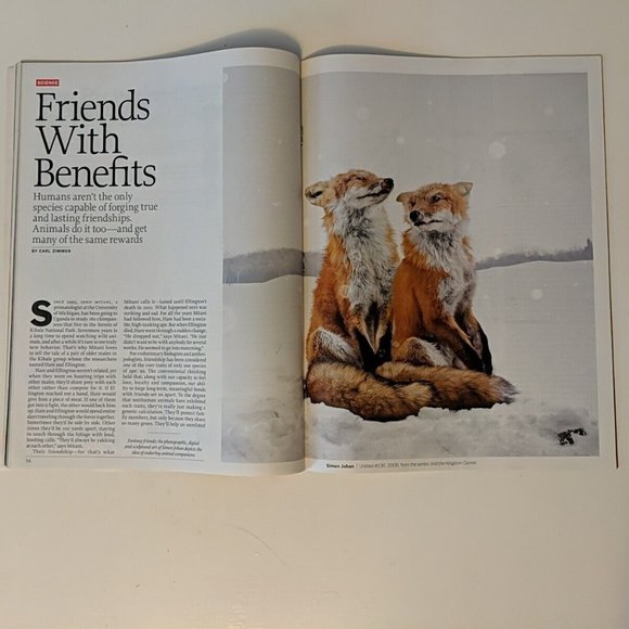 Time The Surprising Science of Animal Friendships February 20 2012 - Picture 8 of 16